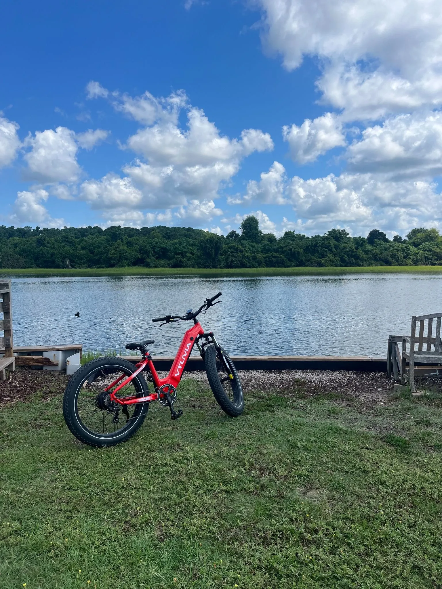 Red fat-tire e-bike parked on grass beside calm water and a tree line